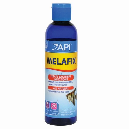 API MelaFix Remède antibactérien pour poisson en bouteille de 4 oz traite 236 gallons — Accessoires pour aquariums