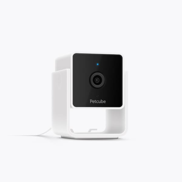 Petcube Cam 2-Pack Smart Pet Cameras with Audio and Live Video