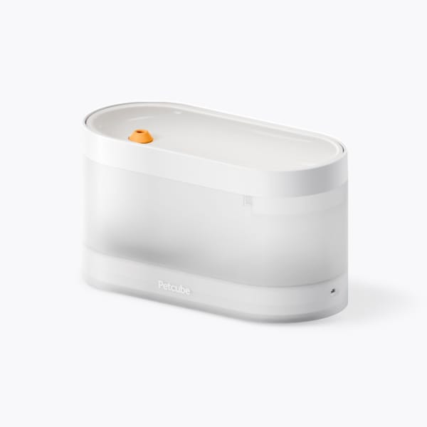 Petcube Fountain Ultra-Quiet Pet Water Dispenser for Cats and Dogs