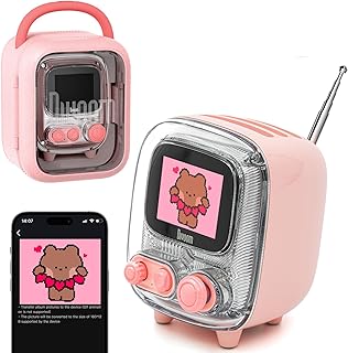 Divoom Tiivoo-2 Haut-parleur Bluetooth portable avec radio FM