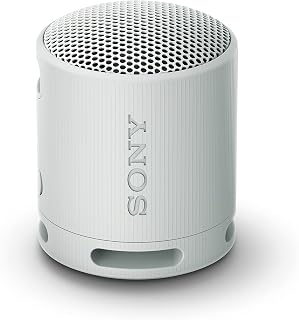 Sony SRS-XB100 Enceinte Bluetooth portable, étanche IP67