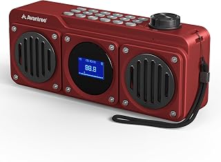 Avantree Boombyte Portable FM Radio & Bluetooth Speaker