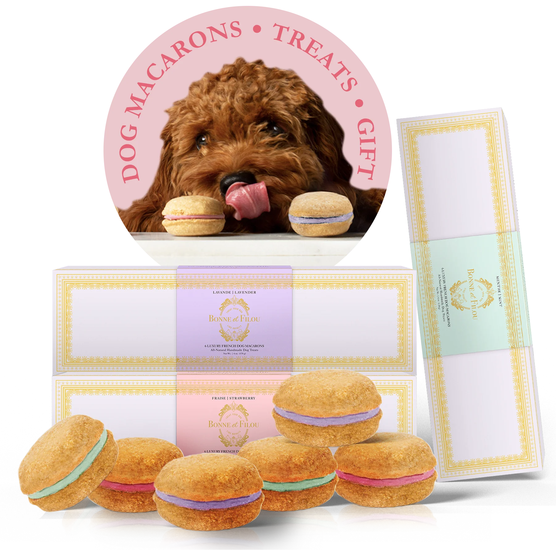 Dog Macaron Club - 6 Months Gift Subscription - Creme Brulee Strawberry Pumpkin