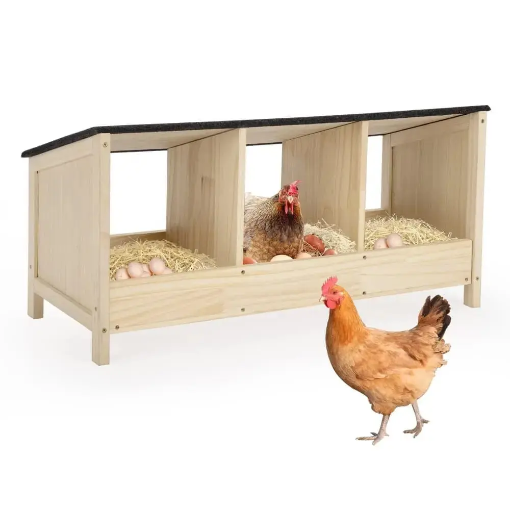 Nichoir à poulet à 3 compartiments Coziwow — Accessoires pour oiseaux