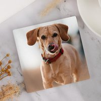 Pet Memorial Photo Coaster - Square Custom Design — Dog Toys