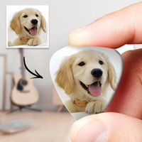 Médiators Guitare Mémorial Chien – Paquet de 12 — Jouets pour chiens