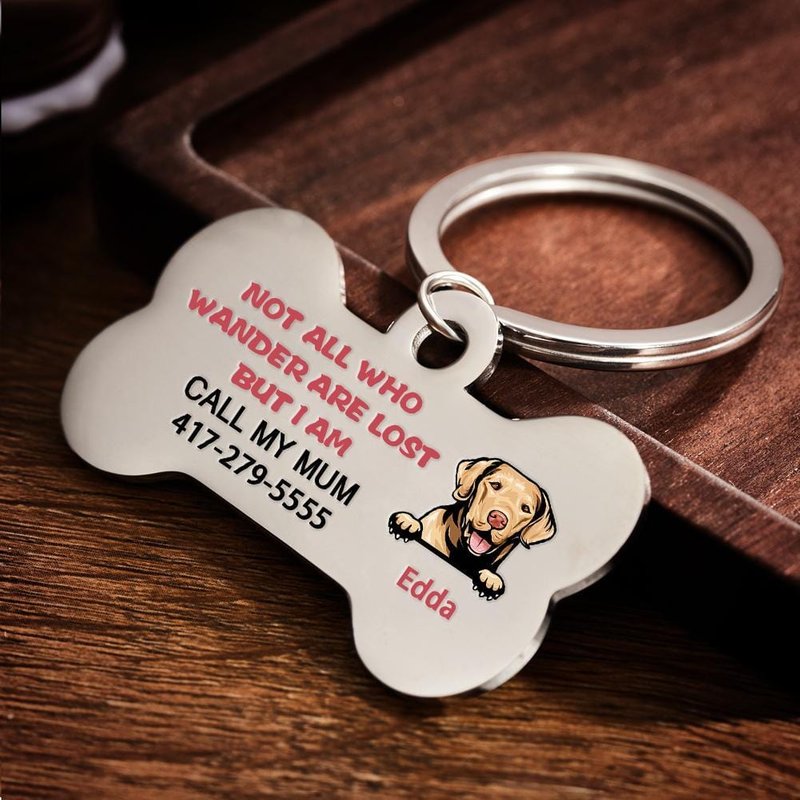 Étiquette d'identification personnalisée pour chien perdu — Jouets pour chiens