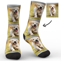 Dog Face Socks Pet Loss Gifts Personalized Photo