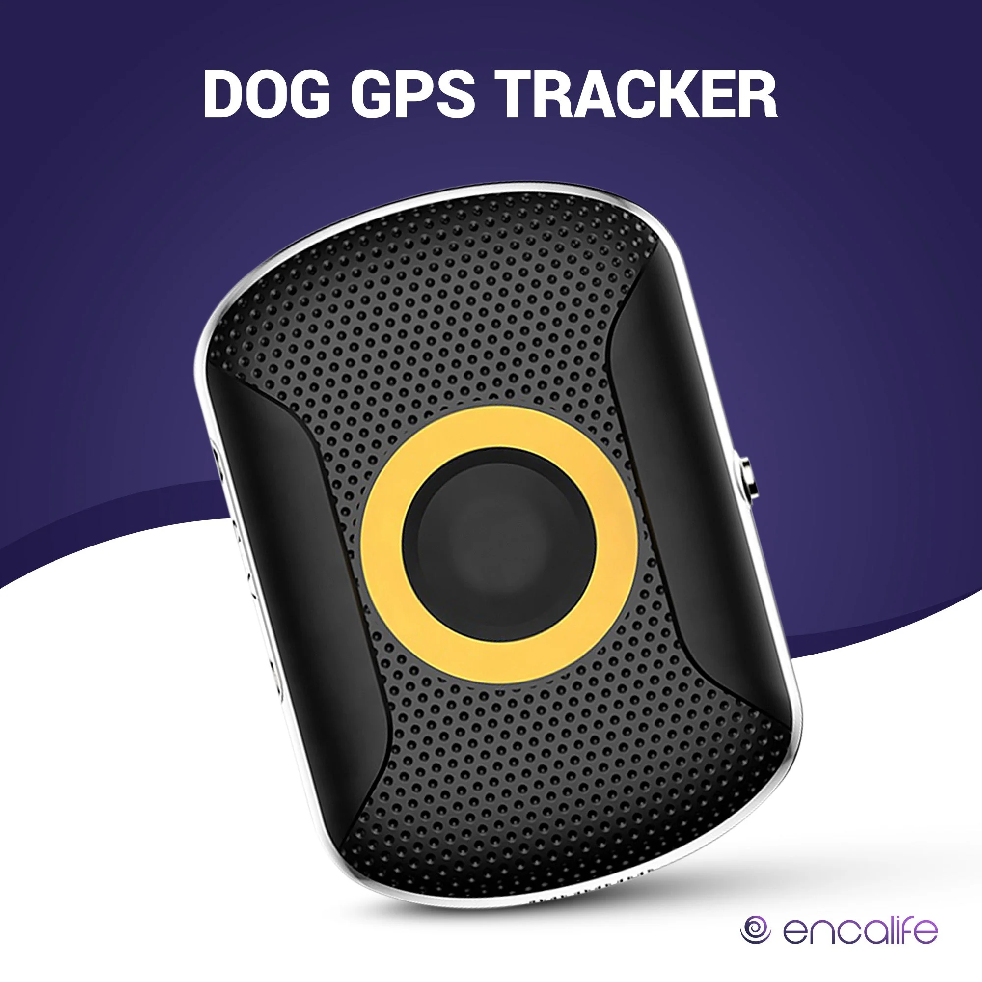Collier GPS pour chien avec technologie 4G pour localisation en temps réel