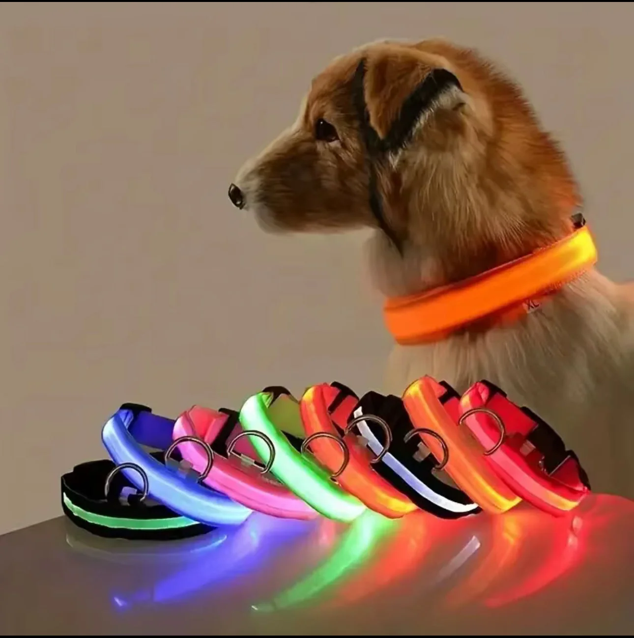 Laisse de chien en nylon LED de sécurité nocturne par encalife — Laisse pour chien