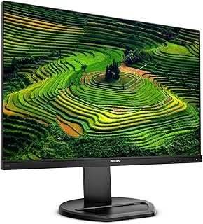 Philips 230B8QJEB/00 22.5-inch LCD Monitor IPS HDMI DP — Computer Monitor
