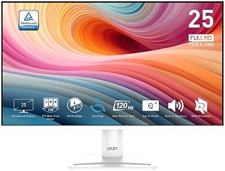 Moniteur MSI PRO MP251W E2 24,5" IPS 120Hz Gaming — Écrans d'ordinateur