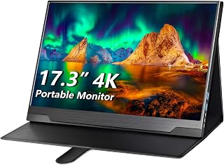 Portable Monitor 4K 17.3" UHD IPS FreeSync HDR — Computer Monitor