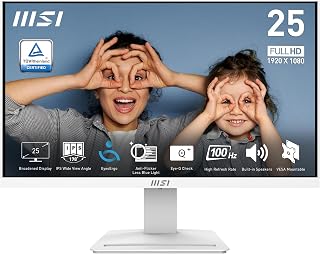 MSI PRO MP251 24,5" IPS 1920x1080 100Hz Moniteur