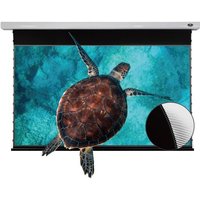 VIVIDSTORM PRO Slimline Motorized Tension Drop Down UST ALR Screen — Projector Screens
