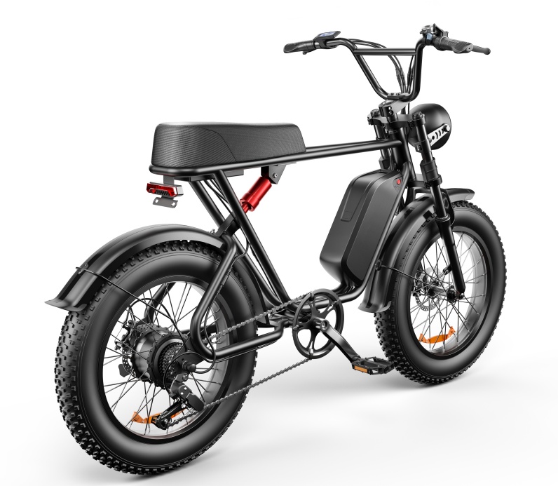 Vélo Électrique à Double Moteur avec Moteur de 1000W