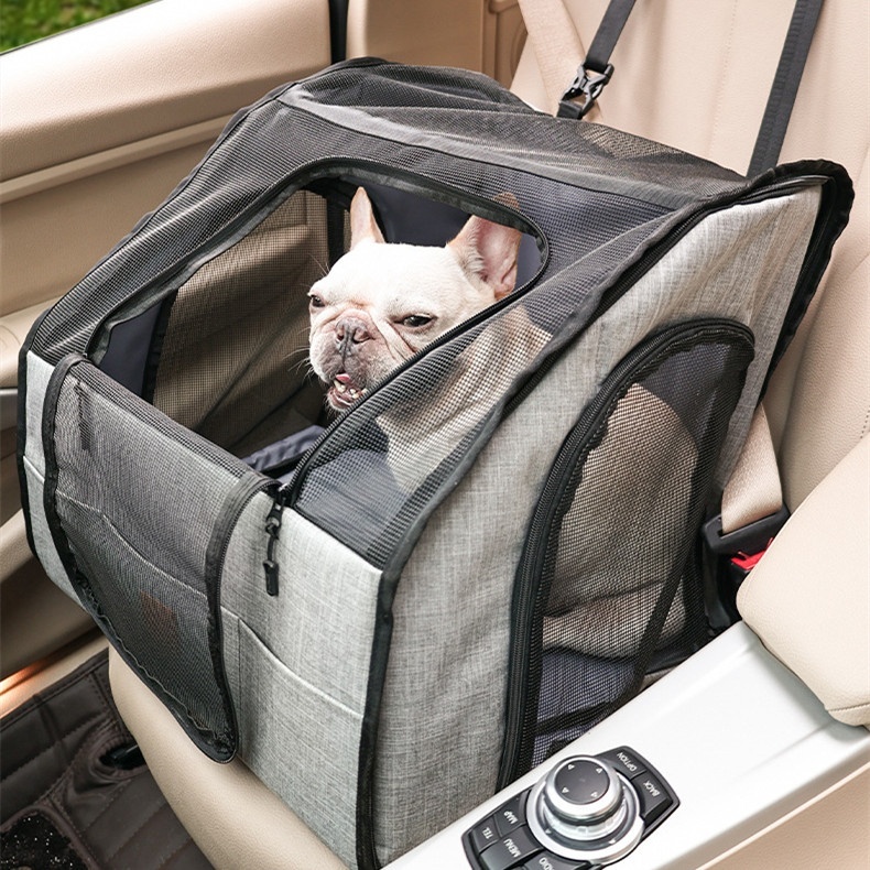 Premium Foldable Pet Travel Carrier with Mat - Waterproof & Durable — Pet Carrier