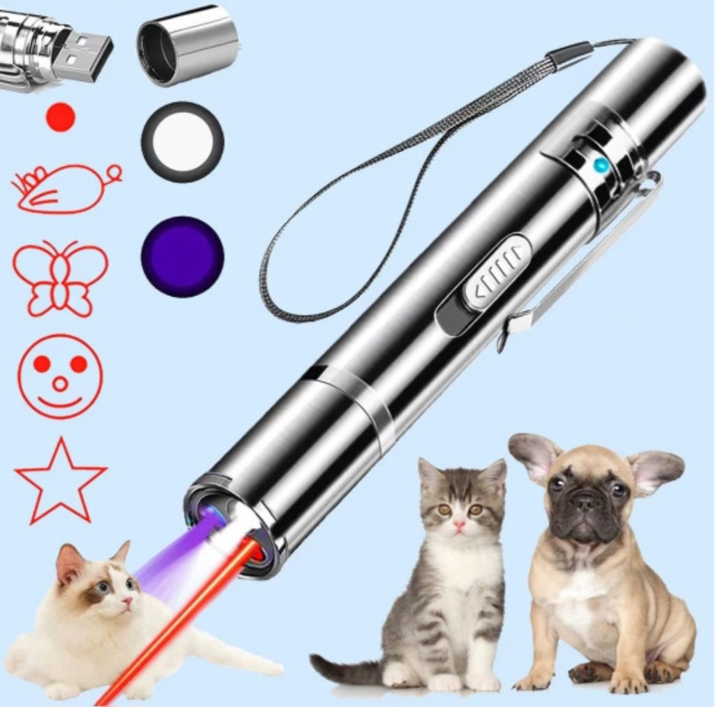 Pointeur Laser Interactif Rechargeable pour Animaux — Jouets pour chiens