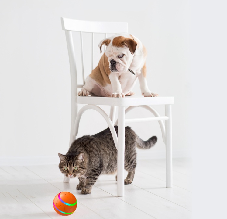 Balle Interactive pour Animaux de Compagnie - Balle de Jeu Rotative Rechargeable USB — Jouets pour chiens