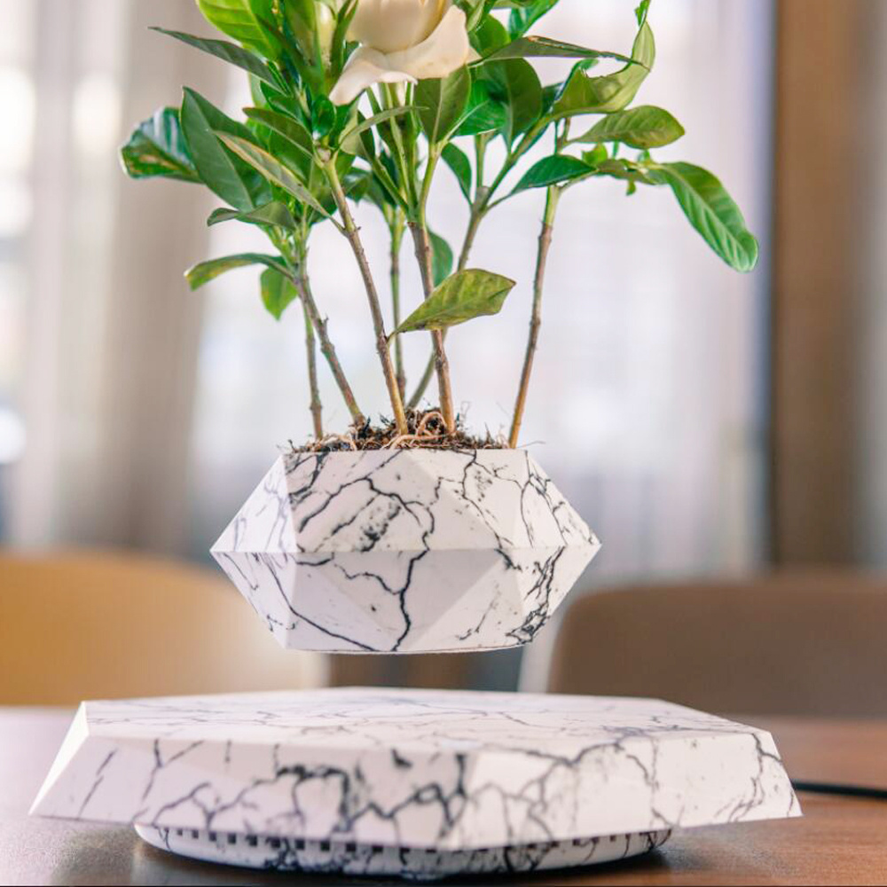 Levitating Magnetic Plant Pot | Modern Desk Decor & Unique Gift — Audio Amplifiers & DACs