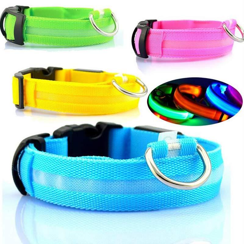 Premium LED Safety Collar for Dogs & Cats - Rechargeable & Battery Options — Dog Collar