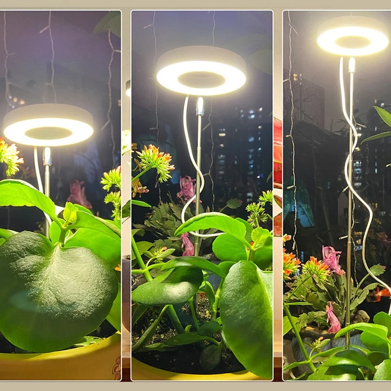 Encalife Angel Ring Lampe de Culture pour Plantes d'Intérieur — Veilleuses et lampes galaxie