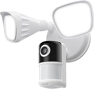 Caméra de projecteur extérieure ieGeek 2K filaire