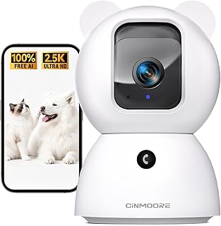 2.5K Indoor Security Camera with AI Detection
