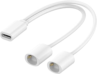 Câble de Charge USB-C pour Lunettes Intelligentes, Dual