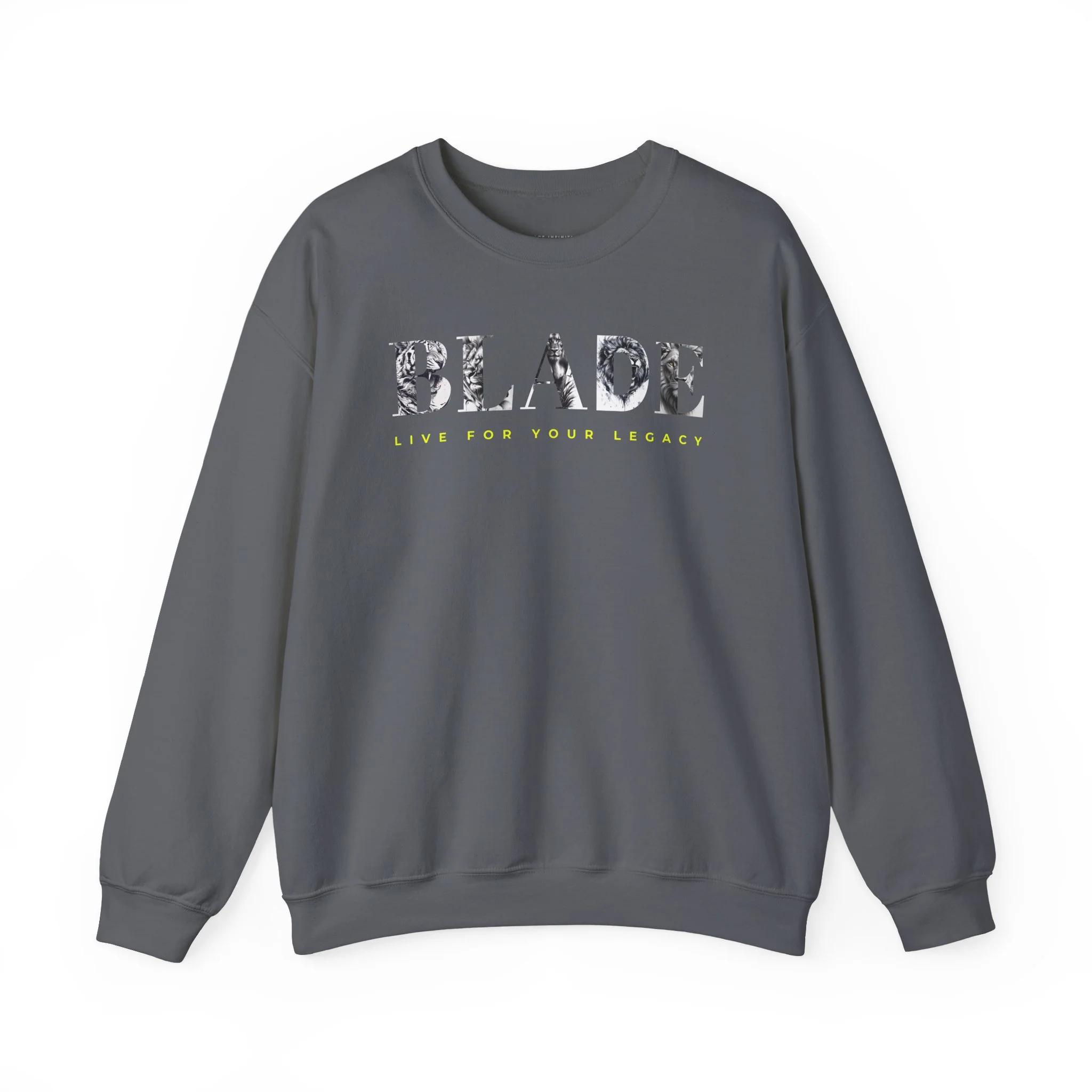 Blade Infiniti Unisex Crewneck Sweater - Charcoal — Womens Sweaters