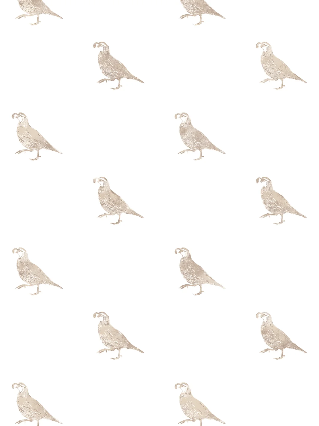 Papier peint « California Quail » par Nathan Turner - Neutre - Traditionnel / Échantillon - 8 x 8 po.