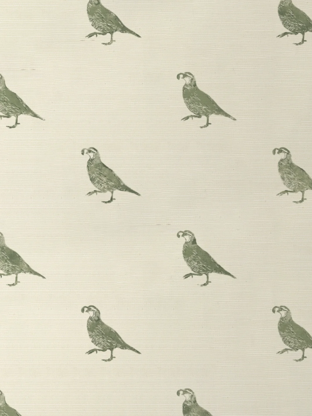 'California Quail' Grasscloth Wallpaper by Nathan Turner - Green - Grasscloth Roll - Sample — Wallpaper & Murals
