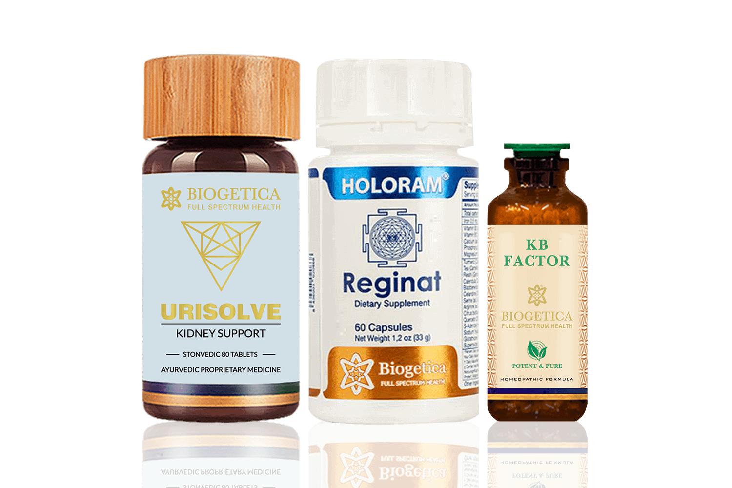 Kit de soutien rénal à spectre complet avec extrait de Reishi et Punarnava — Suppléments de bien-être