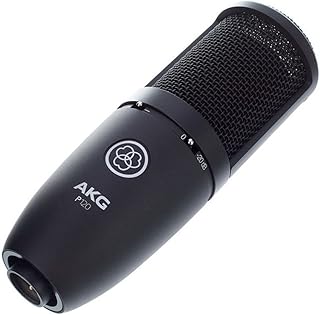 AKG Pro Audio PERCEPTION 120 Studio Microphone — Usb Microphone