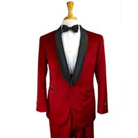 AlbertoNardoniStore VS-101 Costume slim bordeaux — Accessoires de mode