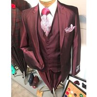 Homme Bourgogne Slim Fit costume