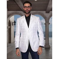 Hommes Brillant Blazer Hommes — Costumes et vestons pour hommes