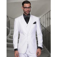 Alberto Nardoni Men's 2 Button Classic Fit Pleated Pant Suit — Mens Suits & Blazers