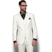 Coupe mince Veste costume