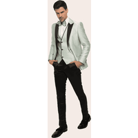 Tuxedo Vert Sauge pour Marié - Costume Moderne pour Homme — Costumes et vestons pour hommes