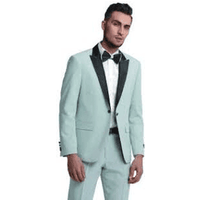 Sage Green Groom Tuxedo