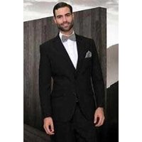 Alberto Nardoni Men's 2 Button Vented Jacket and Pleated Pant Suit