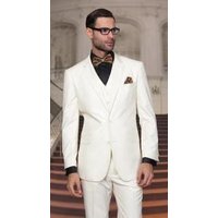 Alberto Nardoni Men's 2 Button Vented Jacket and Pleated Pants Suit