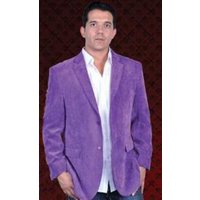 Blazer pour hommes Alberto Nardoni - Violet - 2 boutons