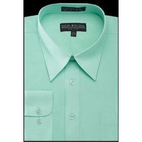 Men's Regular Fit Basic Dress Shirt in Mint Green