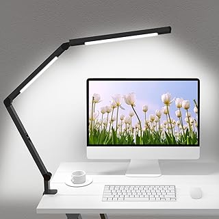 Lampe de bureau LED avec pince et bras réglable — Lampe de bureau menée