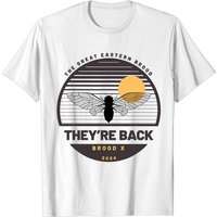 Webn Cicadas Men's T Shirt The Great Eastern Brood They're Back Brood X 2023 — Mens T Shirts