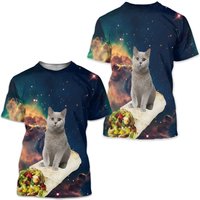 Cat Graphic Prints Basic Fashion 3d T-shirt