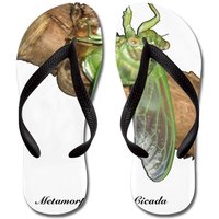Cicada Unisex Flip Flops Metamorphosis