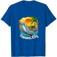 Clearwater Beach Dolphin T-Shirt for Men — Mens T Shirts